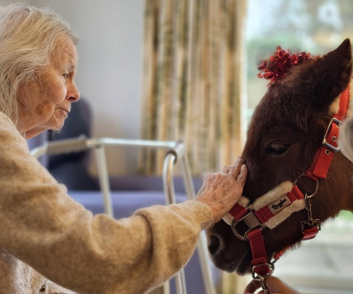 Alzheimer's Care Support - Oxfordshire Care Home - Rosebank Care Home