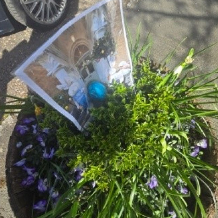 Easter Joy To Bampton Community With An Egg Hunt - Rosebank Care Home