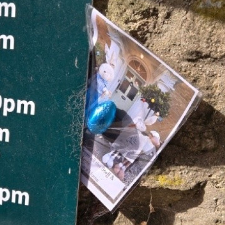 Easter Joy To Bampton Community With An Egg Hunt - Rosebank Care Home