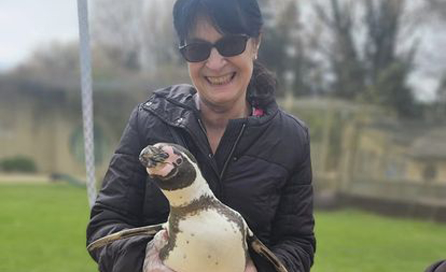 Special Penguin Visit - Rosebank Care Home